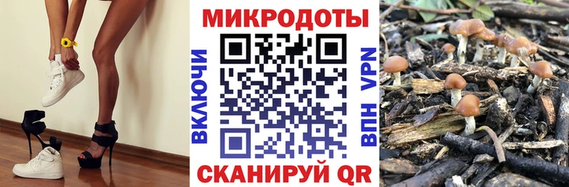 Галлюциногенные грибы Cubensis  Купить  Тетюши 